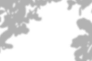 Gri yapraklar gölge ve aydınlık bulanık arkaplan beyaz duvarda, gölge örtüsü etkisi