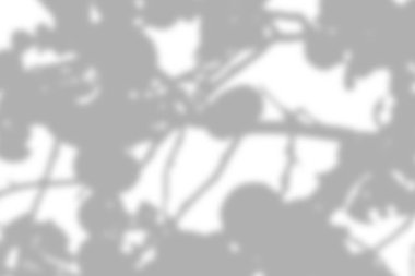 Gri yapraklar gölge ve aydınlık bulanık arkaplan beyaz duvarda, gölge örtüsü etkisi