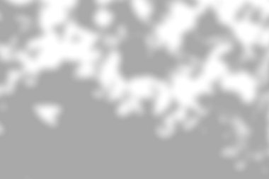 Beyaz desenli duvarın üzerindeki organik gölgenin arkaplanı