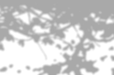 Beyaz desenli duvarın üzerindeki organik gölgenin arkaplanı