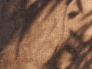 Tropik yaz gölge duvar mimarisi