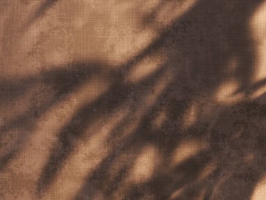 Tropik yaz gölge duvar mimarisi