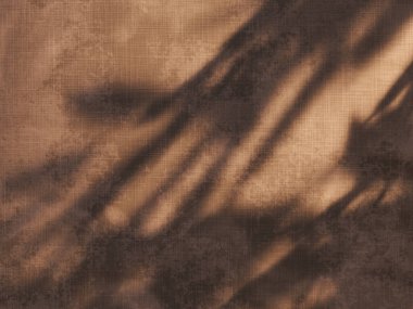 Tropik yaz gölge duvar mimarisi