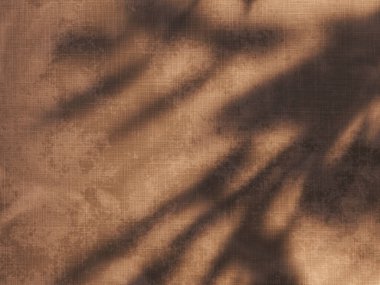 Tropik yaz gölge duvar mimarisi