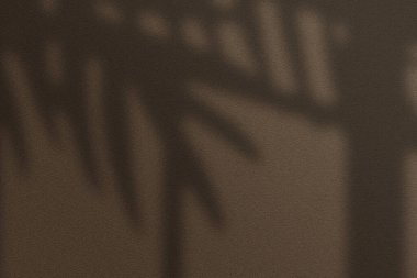 Akıp giden uzun boylu hurma ağaçları,.