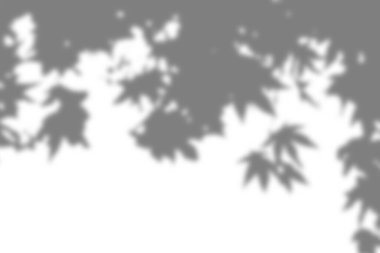 Soyut kalıplarla kaplanmış yumuşak bir gölge, ince, sanatsal bir etki eklemek ve tasarım projelerinizin dokusunu geliştirmek için ideal..