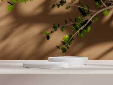 Beyaz bir podyum ve yanyana hafif beyaz bir podyum, yumuşak ışıklandırma ve yeşil akçaağaç yapraklarından bir dal.