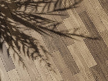 Palmiye yaprağının gölgesi ılık ahşap döşeme üzerinde yumuşak, doğal bir tasarım oluşturur..