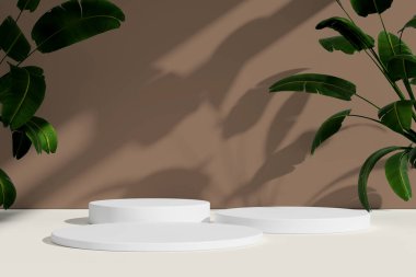 Bitkilerden gelen uzun, yumuşak gölgeli üç beyaz podyum yumuşak kahverengi bir zemin üzerinde.