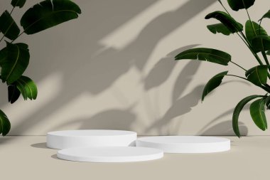 Beyaz podyum üçlüsü bej arka planda yumuşak gölgeli yeşil bitkilerle çevrili..