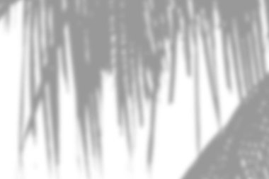 Hafif arka planda yumuşak palmiye yaprağı gölgesi, yumuşak ve sakin bir atmosfer yaratır..