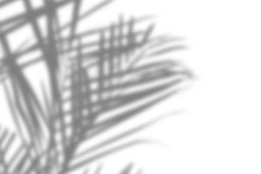 Gri tonda soyut palmiye yaprağı gölgeleri, yaprakların doğal dokularını ve biçimlerini vurgular..