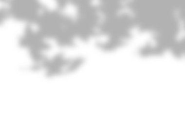 Geniş yaprak gölgesi gölgelenmiş doğal bir çerçeve oluşturuyor.