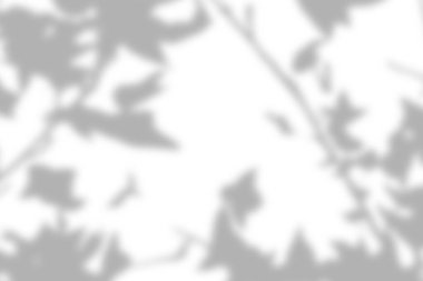 Rastgele seçilmiş yaprak deseni gölgeler oluşturuyor.