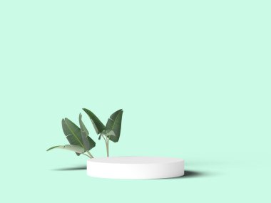 Minimalist podyum, arka planda yapraklar