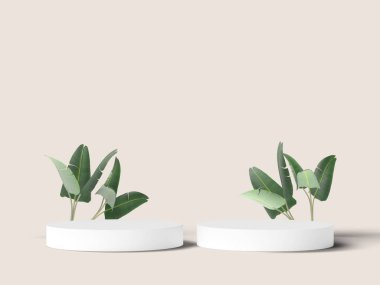 Yumuşak bej arka planda tropikal yaprakları olan çift beyaz podyum