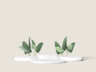 Fildişi arka planında tropikal yapraklar olan temiz beyaz ekran standları