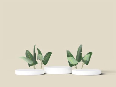 Yumuşak bej tonlu botanik podyumu sahnesi