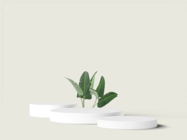 Tropik yeşillik ve yumuşak ışıklandırma arka planına sahip modern podyum düzeni