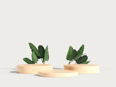 Tropikal yapraklı, iki dairesel ahşap podyum seti, basit tasarım..