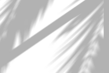 Açılı pencere çizgileri olan güneşli palmiye ön gölgesi