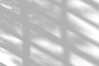 Ağaç gölgeleri ışık yüzeyinde karmaşık desenler oluşturuyor..