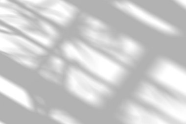 Işık penceresi arkaplanından görünen ağaç gölgesi desenleri.