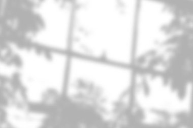 Pencereden süzülen ağaç dallarının soyut gölgesi, yumuşak ışıklandırma efektleri sunuyor.