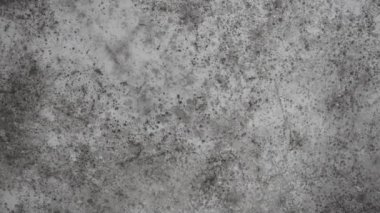 Mold on wall textured background