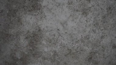 Mold on wall textured background