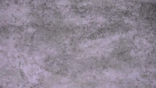 Mold Wall Textured Background — 图库视频影像