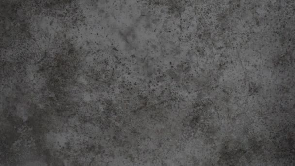 Mold Wall Textured Background — Vídeo de Stock