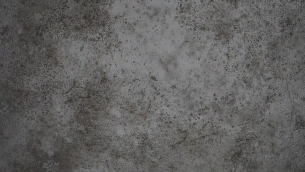 Mold Wall Textured Background — 图库视频影像