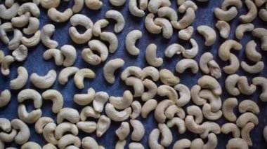 Raw whole dried Cashew nut