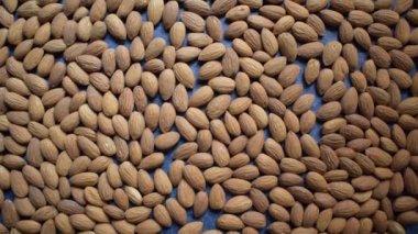 Raw whole dried almond seed