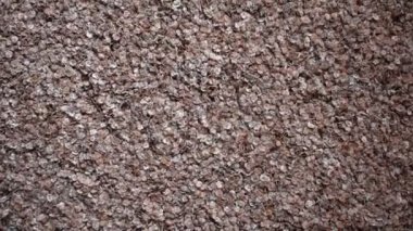 Raw whole dried finger millet flakes
