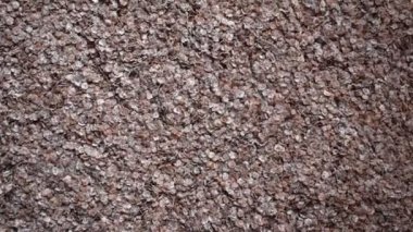 Raw whole dried finger millet flakes
