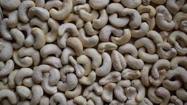 Raw Whole Dried Cashew Nut — Vídeo de stock