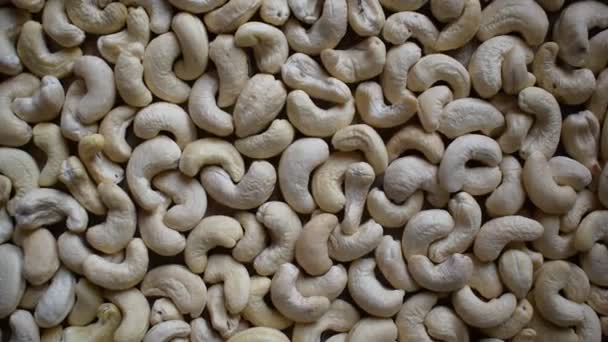 Raw Whole Dried Cashew Nut — Stok Video