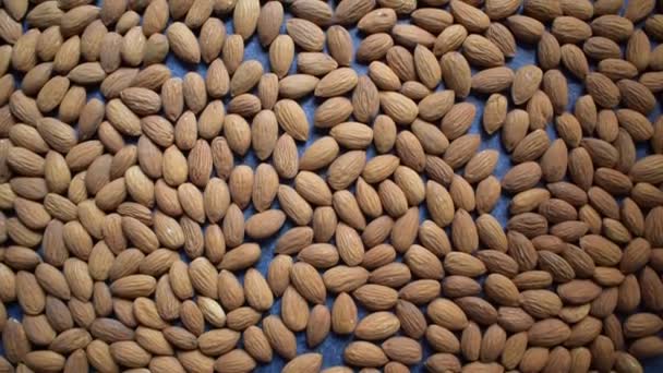 Raw Whole Dried Almond Seed — Video Stock