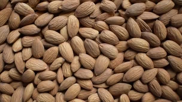 Raw Whole Dried Almond Seed — Video Stock