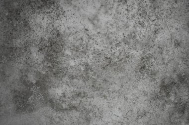 Mold on wall textured background