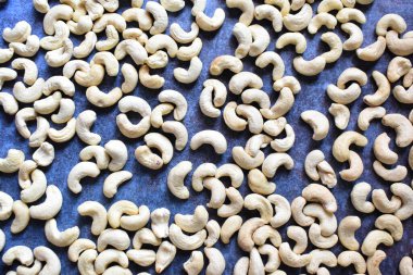 Raw whole dried Cashew nut