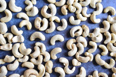 Raw whole dried Cashew nut