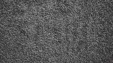 Çiğ, kurutulmuş fesleğen tohumları