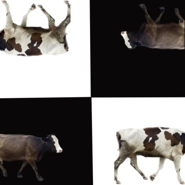   Soyut çizim. Kolaj. Yazar sanatı