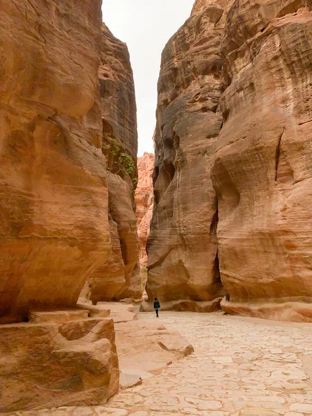 Camino Conduce Ciudad Petra Jordania —  Fotos de Stock