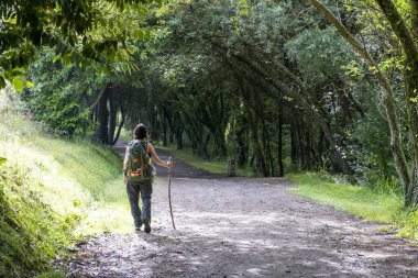 Genç kadın seyyah Aziz James 'in yolunda yürüyor. Camino de Santiago