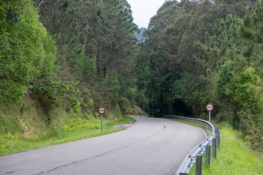 Camino del Norte 'deki köy yolu, Asturias, Kuzey İspanya