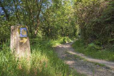 Saint James Yolu 'nun işaret direği. Camino de Santiago 'daki orman yolu Santiago de Compostela Katedrali' ne giden hacılar için deniz kabukları göstermektedir.